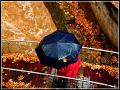 559 - UMBRELLA - GAVRIELIDOU NIKI - cyprus